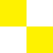 Yellow and White Check
